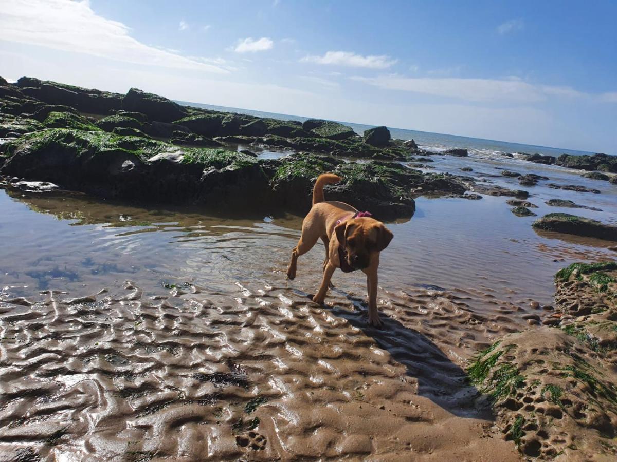 St Leonards-on-Sea Beautiful Apartment 2 Mins To The Beach מראה חיצוני תמונה
